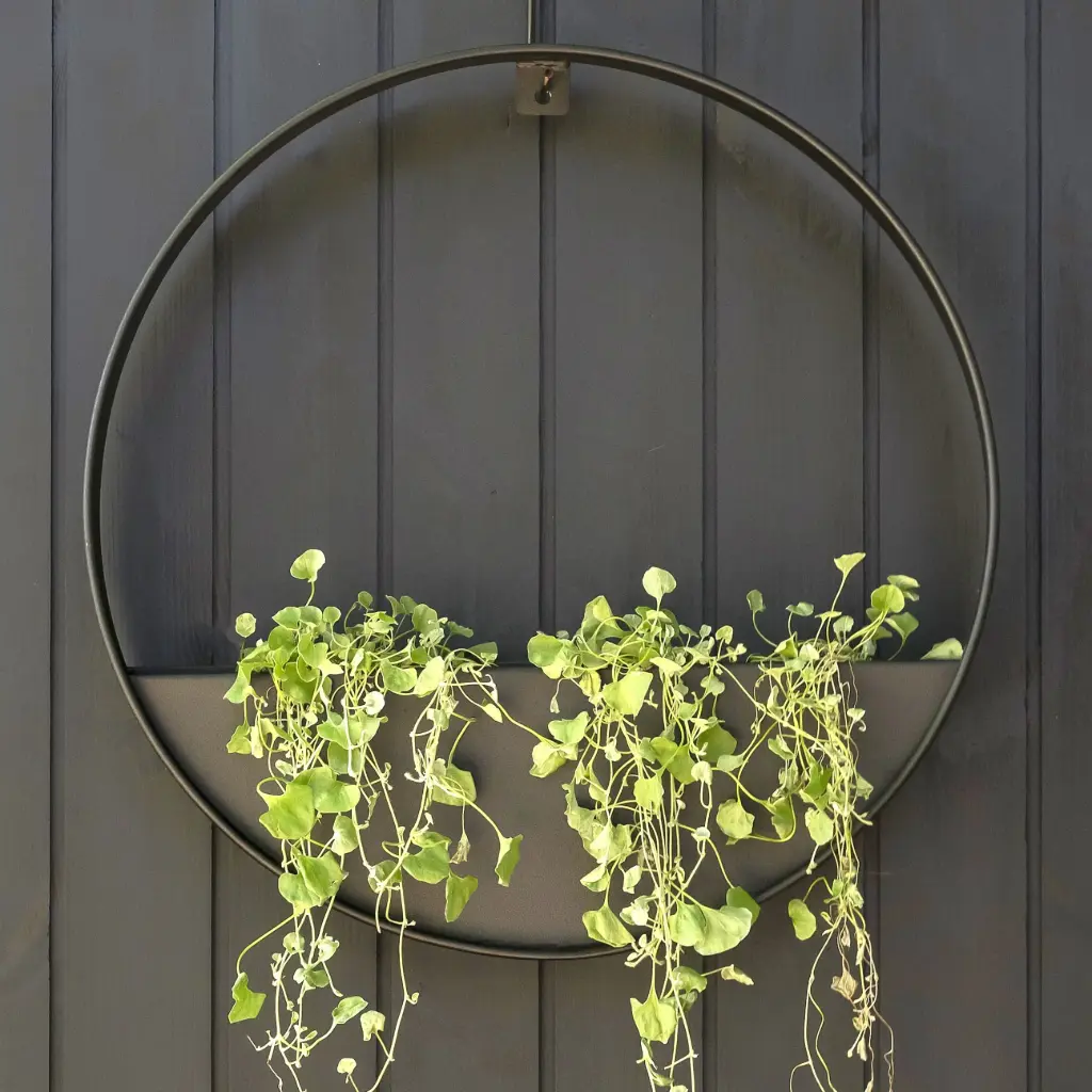FormBoss Hanging Planter Powder Coated Black 580mm dia